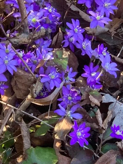 Snöstorm och kyla – vi börjar ett nytt år